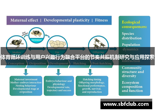 体育循环训练与用户兴趣行为融合平台的节奏共振机制研究与应用探索