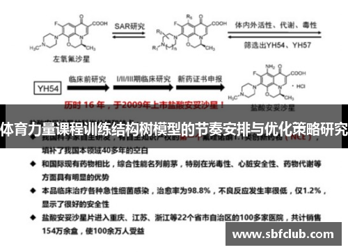 体育力量课程训练结构树模型的节奏安排与优化策略研究