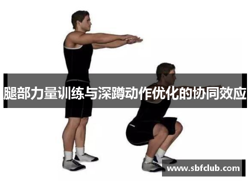 腿部力量训练与深蹲动作优化的协同效应